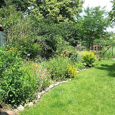 Anno-nostalgia راينزبرج